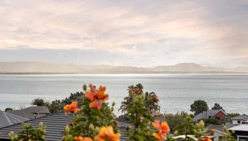 5 Vivian Drive, Omokoroa