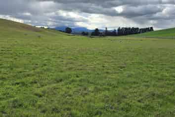 74 Esler Road, Pleasant Point