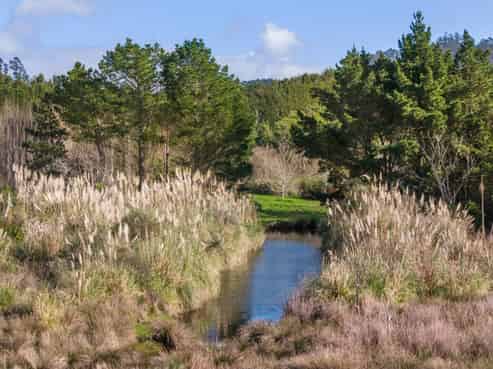 275 Athenree Road, Katikati