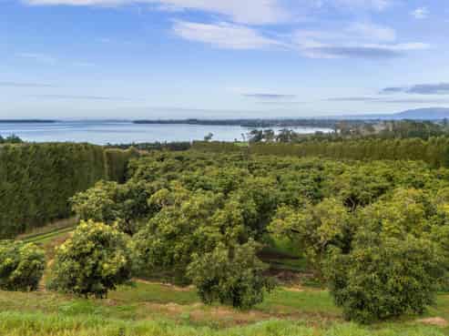275 Athenree Road, Katikati