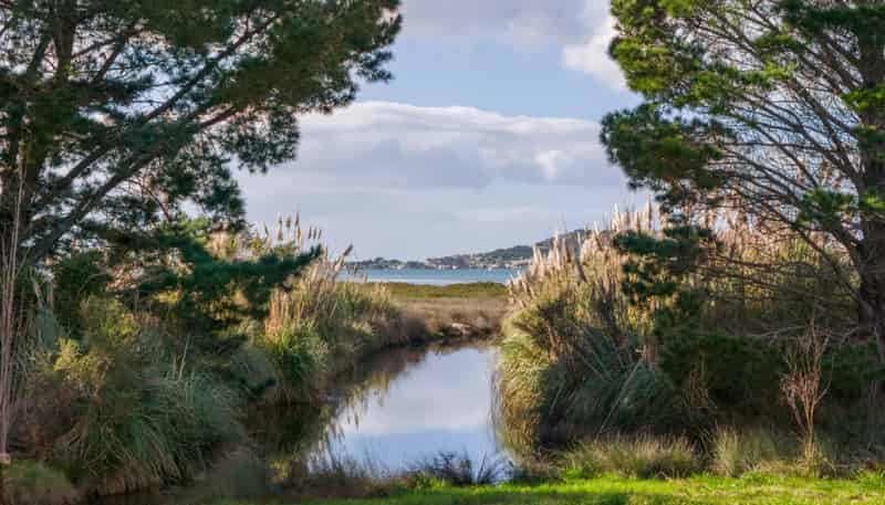 275 Athenree Road, Katikati