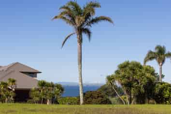 4 Palm View Terrace, Gulf Harbour