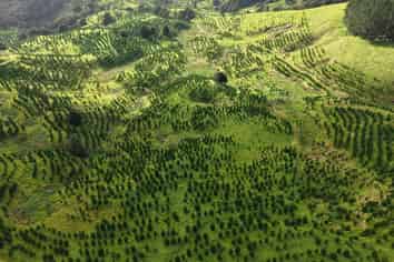  Waimatenui Road, Dargaville Surrounds