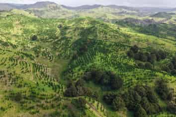  Waimatenui Road, Dargaville Surrounds