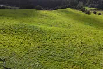  Waimatenui Road, Dargaville Surrounds