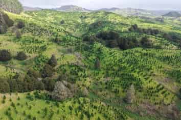  Waimatenui Road, Dargaville Surrounds
