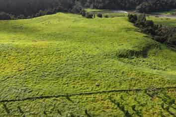  Waimatenui Road, Dargaville Surrounds