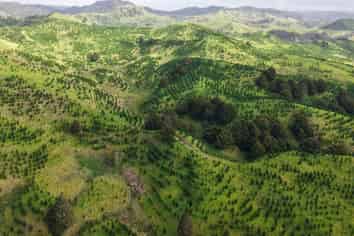  Waimatenui Road, Dargaville Surrounds