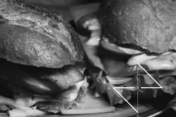 Profitable Artisan Bakery Cafe Wanaka - Price by negotiation
