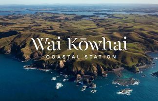 Haruru Sections for Sale - realestate.co.nz
