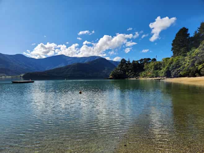 14 Sandy Bay Road, Black Rock