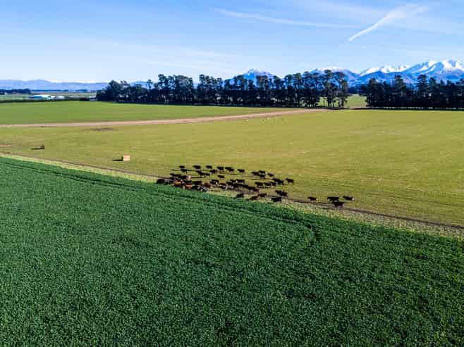 363 Methven Chertsey Road, Methven