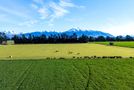 363 Methven Chertsey Road, Methven, Ashburton, Canterbury