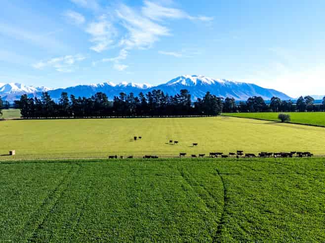 363 Methven Chertsey Road, Methven