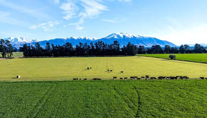 363 Methven Chertsey Road, Methven