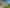 10 Okupe Grove, Aotea