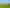 415 Duck Creek Road, Stillwater