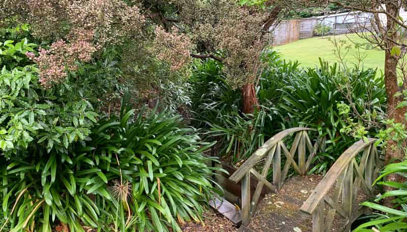 14 Manuka Street, Masterton