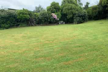 14 Manuka Street, Masterton