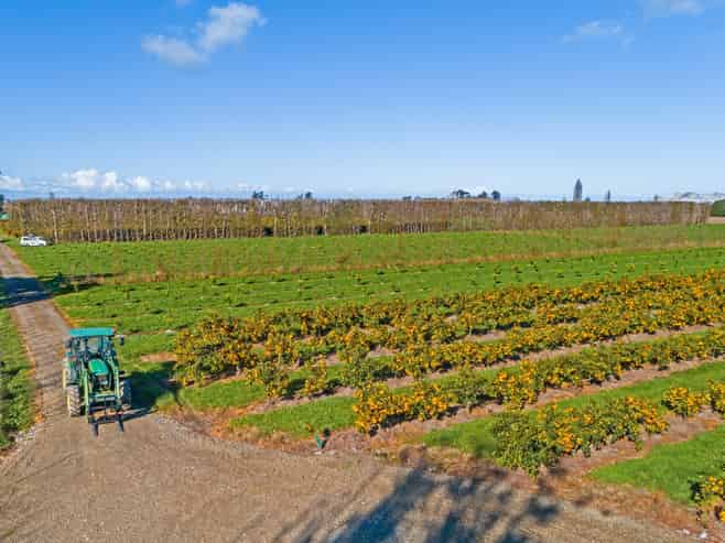 153 Willows Road, Matawhero
