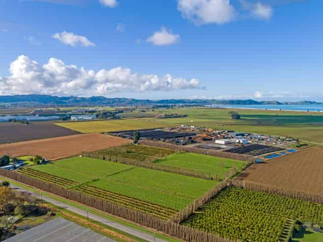 153 Willows Road, Matawhero