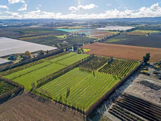 153 Willows Road, Matawhero