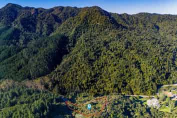 694 The 309 Road, Waiau, Coromandel