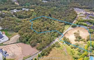 241 Lonely Track Road, Albany Heights