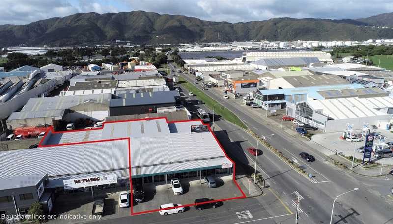 45 Waione Street, Petone