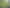 Substantial Development Land in Remuera