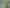 Substantial Development Land in Remuera