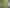 Substantial Development Land in Remuera