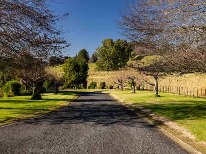 38 Youngson Road, Whakamarama