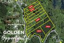 181 Blue Mountains Road, Blue Mountains, Upper Hutt City, Wellington