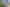 43 Ellice, Totara Vale