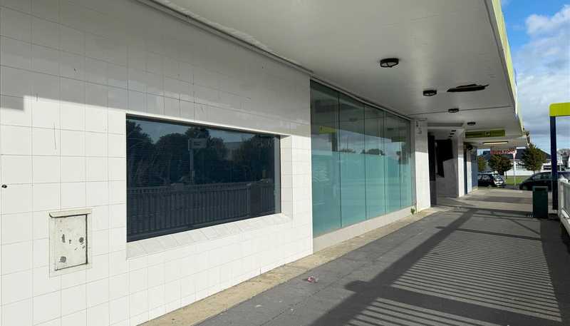  336 Cambridge Terrace, Naenae
