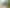167 Summer Road, Tinopai