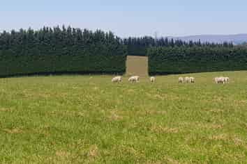  Hillend Road, Balclutha