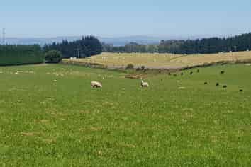  Hillend Road, Balclutha