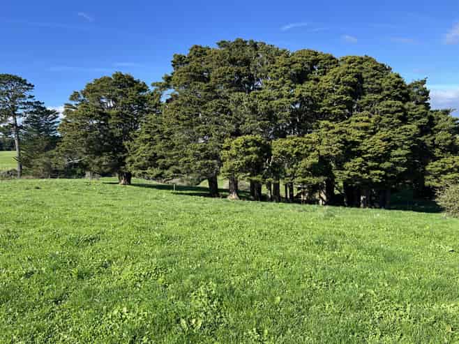 678 Waiuku Road, Mauku
