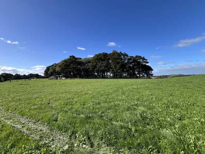 678 Waiuku Road, Mauku