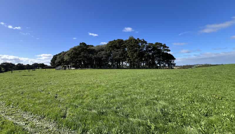 678 Waiuku Road, Mauku