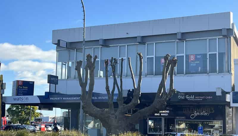 167-169 Oxford Street, Levin
