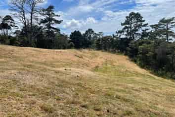 51 Drury Lane, Dairy Flat