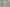 Blank Canvas