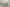 Blank Canvas