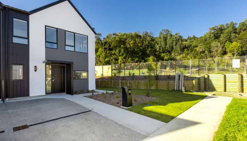25 Betty Boyes Street, Wallaceville