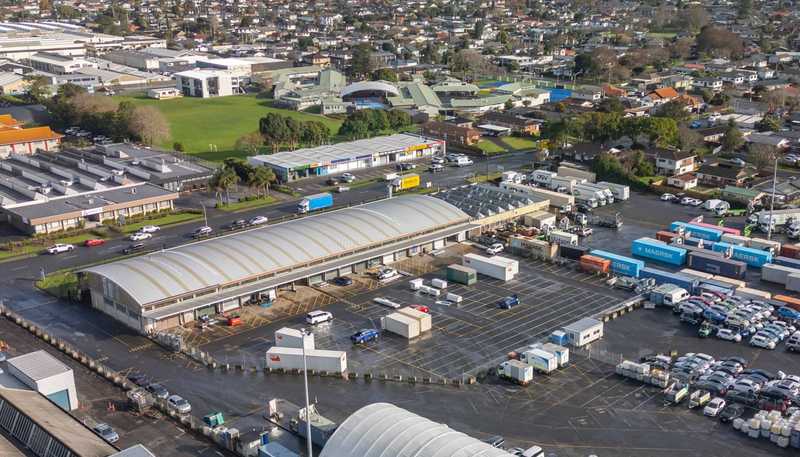 8A Norman Spencer Drive, Manukau