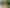 Northland - Address withheld