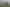 24 Manning , Morrinsville